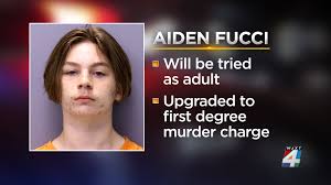 Aiden fucci was a classmate and reportedly a friend of tristyn bailey at patriot oaks academy. Jherkrho7fyim