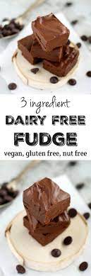 3 Ingredient Dairy Free Fudge The Pretty Bee Recipe Dairy Free Fudge Dairy Free Dessert Free Desserts