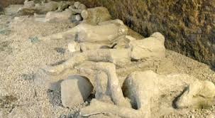 Enorme raccolta, scelta incredibile, oltre 100 milioni di immagini rf e rm di alta qualità e convenienti. Pompei Trovato Lo Scheletro Di Un Bambino Il Direttore Degli Scavi Svolta Per La Ricerca Archeologica