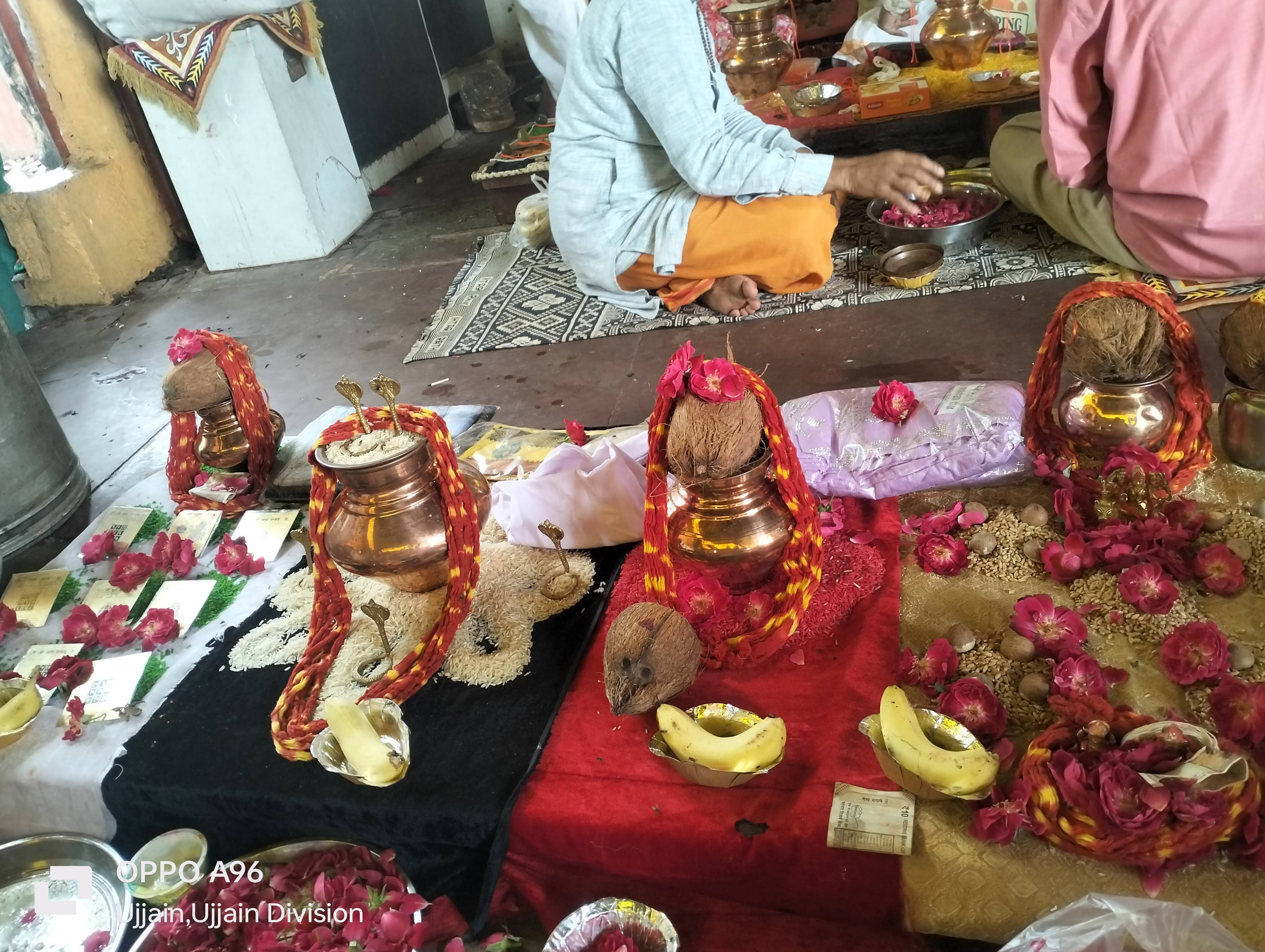 काल सर्प पूजन शिप्रा तट उज्जैन product image