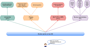 Quel Metier Faire Avec Un Bac Es Les Debouches
