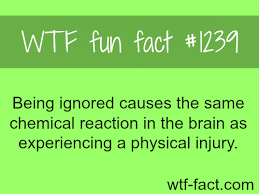 1239 Being Ignored Causes The Same Chemical Reaction In The Brain As Experiencing A Physical Injury Psychology Facts Fun Facts Wtf Fun Facts