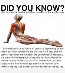 Love And Yoga Cobra Pose Yoga Benefits Yoga Postures