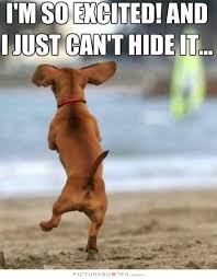 Image result for excited images