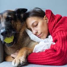 Il cane Rex gioca a fare il poliziotto e scopre l'amante del marito  fedifrago