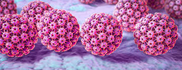 Clifford g., franceschi s., diaz m., mucoz n., villa l. Oral Human Papillomavirus Infection