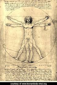 Davinci Art Vitruvian Man Da Vinci Vitruvian Man
