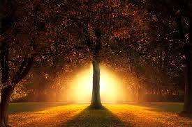 dexter hacker (@DextterHacker)