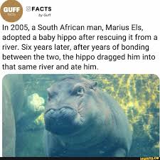 Marius Memes Best Collection Of Funny Marius Pictures On Ifunny Brazil