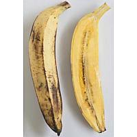 Dengan kelebihannya, pisang cavendish banyak dicari masyarakat sehingga menjadi sebuah peluang usaha budidaya pisang cavendsih baik itu untuk pemasaran buah pisangnya, atau jual beli bibit pisang cavendish. Local Bananas A Cheat Sheet On The Common Banana Types Sold Here Africa News Top Stories The Straits Times