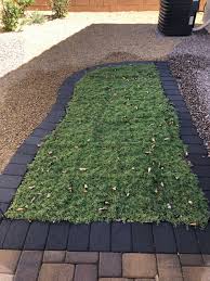 Check spelling or type a new query. Evergreen Yard With No Mowing Ever 75 Less Water Than Typical Grass Grass Alternative Drought Tolerant Grass Evergreen
