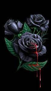 Pin By Wurth It On Roses Rose Wallpaper Rose Art Black Rose Flower