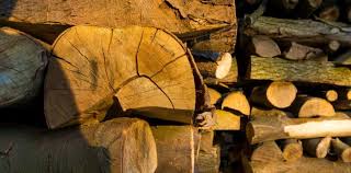Locusts and oaks match this density criteria well. What Is The Best Kind Of Wood To Burn We Love Fire