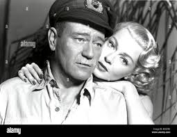 The sea chase hi-res stock photography and images