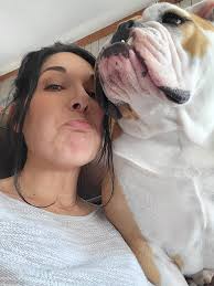 Introduction to English Labrador Retrievers