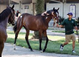 Emonneeyy shes a beautiful lady, I didnt connect like it