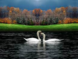 Get up to 70% off now! Free Download Beautiful Nature Wallpaper Beautiful Nature Wallpaper Beautiful Nature 1600x1200 For Your Desktop Mobile Tablet Explore 77 Nice Nature Wallpapers Nice Nature Wallpapers For Phone