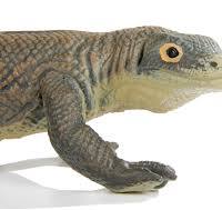 Amazon.com: Safari Ltd. Komodo Figura de dragón – Figura ...