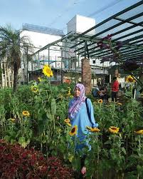 Wisata taman bunga matahari bandung viral. Bunga Matahari Mekar Di Paris Van Java Resort Lifestyle Place Halaman All Kompasiana Com
