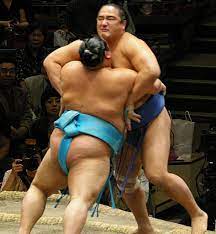 Sumo wrestler nude