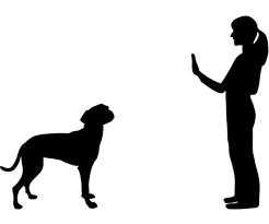 Essential Hand Signals For Dogs Popsugar Pets