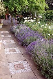 Landscaping Design Ideas Lavender Garden Concrete Landscape Edging Garden Landscaping