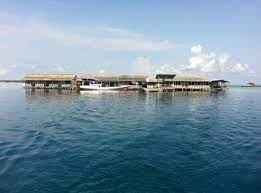 384 likes · 8 talking about this · 4,054 were here. Profil Hotel Wisma Apung Karimunjawa Yang Khas Dan Unik Paket Tour Karimunjawa Travel Wisata Murah
