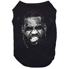 Lebron James Game Face Los Angeles Basketball Fan V2 T Shirt
