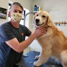 New customers get $5 off their grooming, and referrals will also earn you $5 off. Best Dog Nail Trimming Near Me February 2021 Find Nearby Dog Nail Trimming Reviews Yelp