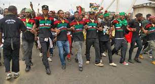 As earlier mentioned, ipob means the indigenous people of biafra. Ipob And The Other Meaning Of Peaceful Protest National News Beam