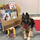 Paws to Read event image