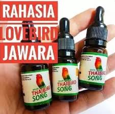 Yuk simak ulasan berikut dengan seksama! Vitamin Lovebird Medium