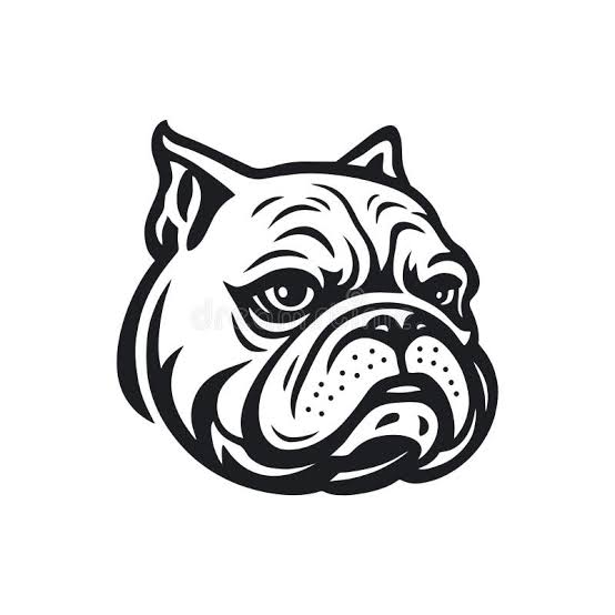 Johnson Family Bulldogs Logo
