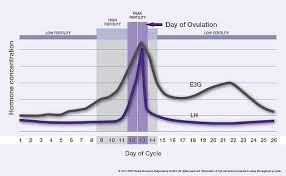 E3g And Lh During The Menstrual Cycle Fertility Monitor