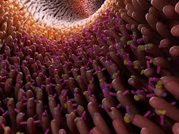 Breakthrough Australian Device Brings Hope To Crohn S Disease Sufferers The New Daily New Australian Device May Treat Crohn S Disease