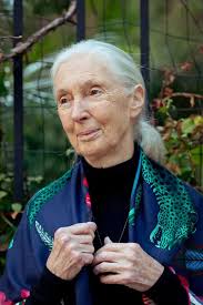RIP beloved Jane Goodall 💗