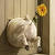 Cat Stuck In Screen Door