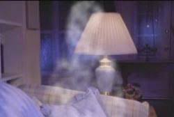 Florida Haunted House