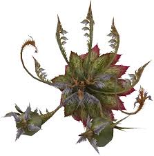 Two corpse flower ( amorphophallus titanum) plants, also known as titan arum, bloomed in 2020 at the u.s. Latest 711 720 Plant Monster Creature Design Creature Concept