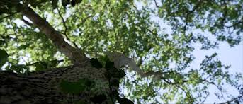 Luna Okko - Pornhub - E06 - Discover the Monster - L...