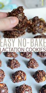 Easy No Bake Lactation Cookies For Nursing Moms Recipe Lactation Cookies Lactation Recipes Breastfeeding Foods