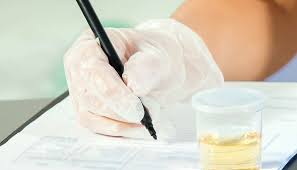 Others put the number at 24 ounces. 10 Panel Drug Test Which Drugs Timeframes And Results