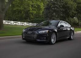 Image result for Argus Brown 2019 A5