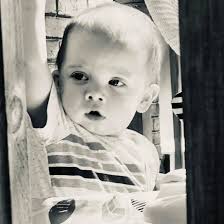 Where can I find good new crop boiled peanuts?