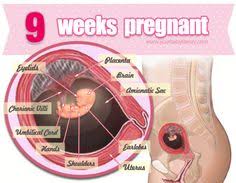 Before attaining puberty, the length of the uterus is about 3.5cm and thickness is approximately 1.4cm (7). Pregnancy Week 9 Fetal Development