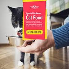 Kitchen flavor makanan kucing kiloan lampung provinsi. Rekomendasi Distributor Resmi Jual Makanan Kucing Meujampu Com