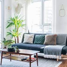 For our list today we will be showing you some photos of how you can make your homes look brighter, or wider or even create an. 15 Best Living Room Plants Living Room Indoor Plants To Buy Now