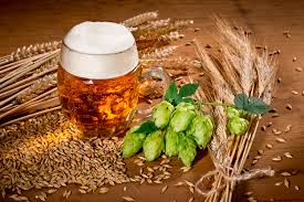 Lúpulo, el secreto de una buena cerveza. Como Distinguir Los Sabores A Lupulo Y Malta En Una Cerveza