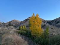 Robinson Creek Instream Restoration