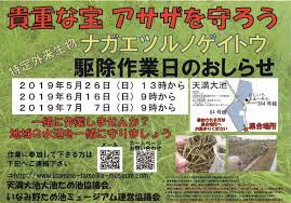 季節のおすすめ商品を通じ住まいの豊かさをお届けします。 ⚠️弊社の偽アカウントにご注意下さい。 ハイライトの重要なお知らせをご確認下さい。 ニトリ商品の写真に#mynitori がついた投稿はいいね、リポストさせていただくことも。 ※ è²´é‡ãªæ°´è‰ã‚'å®ˆã‚‹ç‚ºã« ãƒŠã‚¬ã‚¨ãƒ„ãƒ«ãƒŽã‚²ã‚¤ãƒˆã‚¦é§†é™¤ä½œæ¥­ ã„ãªã¿é‡ŽãŸã‚æ± ãƒŸãƒ¥ãƒ¼ã‚¸ã‚¢ãƒ 